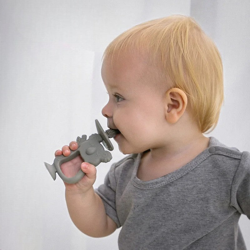 Anneau de Dentition - KoalaTeethBuddy™ - Gris